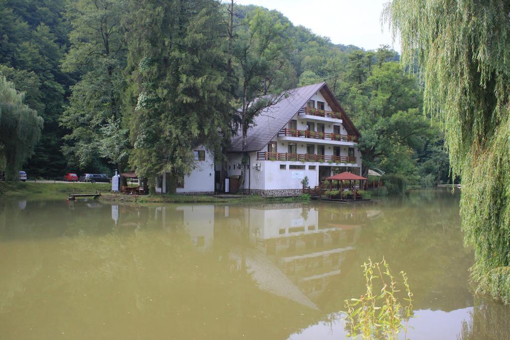 Guest House Lacul Linistit Moneasa Room photo
