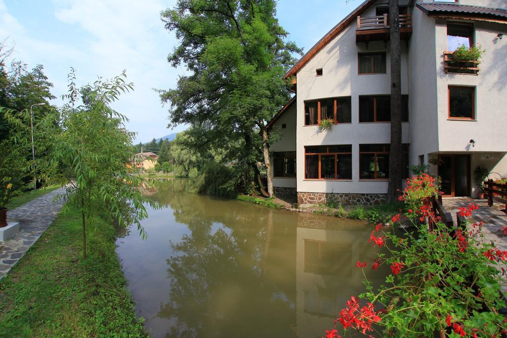 Guest House Lacul Linistit Moneasa Exterior photo